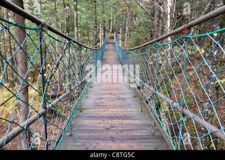 Sospensione ponte che conduce alla foresta. Foto Stock