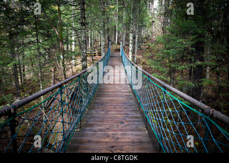 Ponte sospeso che conduce alla foresta. Foto Stock