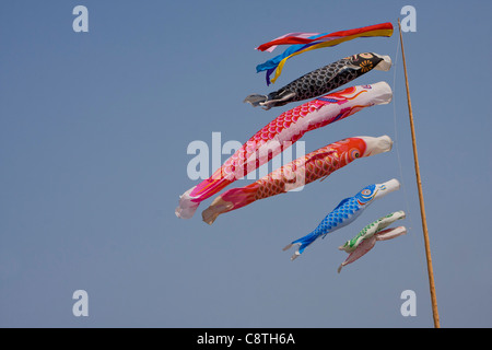 Carp bandiere chiamato Koinoburi che celebrare la Giornata dei bambini in Giappone in volo, Soma, Fukashima Giappone Foto Stock