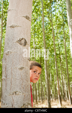 Stati Uniti d'America, Oregon, Boardman, ragazzo giocando seekand nascondi tra alberi di pioppo in tree farm Foto Stock