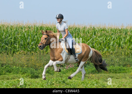 Giovane pilota al galoppo sulla schiena di un pony Foto Stock