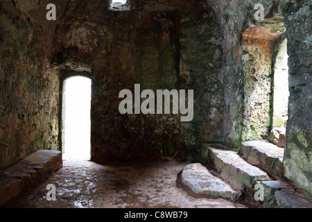 L'interno di St Govan Cappella del Pembrokeshire Parco nazionale del Galles Cymru REGNO UNITO GB Foto Stock