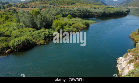 Il fiume Ebro vicino al villaggio di Miravet. La Catalogna, Spagna. Foto Stock