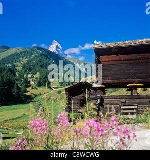 "Azot" raccard granai e la vetta del Cervino Zermatt Vallese Svizzera Foto Stock