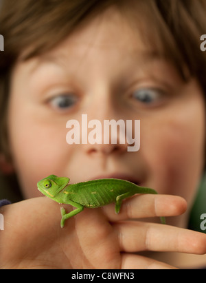 Ragazzo con baby chameleon Foto Stock