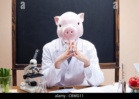 Testa di maiale nutrizionista davanti di Blackboard Foto Stock