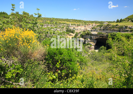 La storica città di Minerve, con una grotta in cui il fiume scorre Cesse e scopa spagnola (Spartium junceum) fioritura. Foto Stock