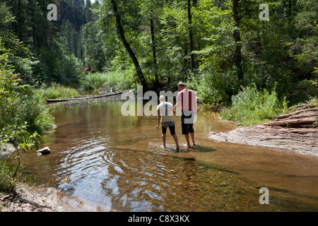 Il raffreddamento nel ruscello di montagna Foto Stock