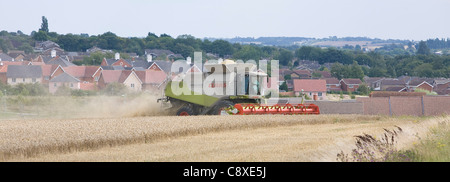 Mietitrebbia e un trattore raccolto raccolto di frumento nella periferia della città di Haverhill East Anglia Suffolk REGNO UNITO Foto Stock