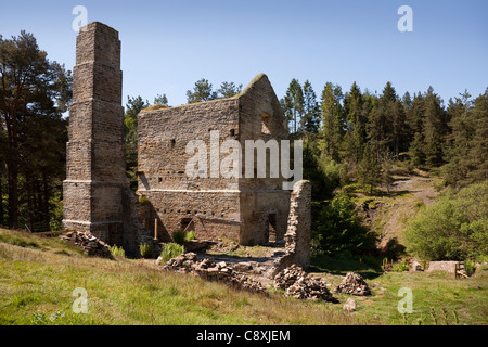 Vecchio abbandonato lead mining casa motore, Weardale superiore, Blanchland, Northumberland, Inghilterra Foto Stock