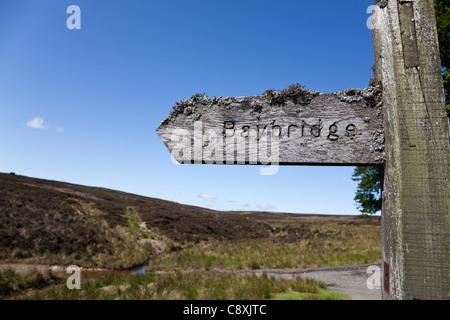 Campagna di legno sentiero segno, Baybridge, Weardale, Blanchland, Northumberland, Inghilterra. Regno Unito Foto Stock