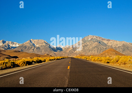 California Highway 168 alla Sierra orientale.