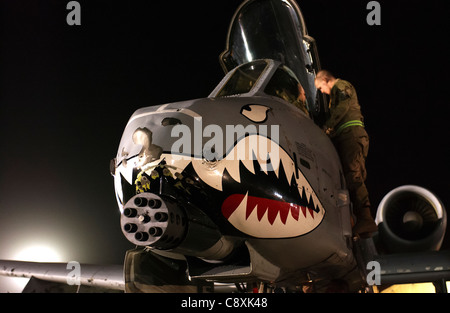 OPERAZIONE LIBERTÀ IRACHENA -- un capo dell'equipaggio dell'aeronautica della 332a Ala dell'aviazione militare ispeziona l'abitacolo di UN A-10 Thunderbolt II il 23 marzo in una posizione di operazione in dispiegamento in avanti in Iraq Freedom. L'A-10, noto per la sua abilità di uccidere i carri armati durante la tempesta del deserto, è un alleato chiave per le forze di base della coalizione nell'operazione libertà irachena. Foto Stock