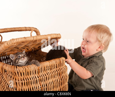 Giovane ragazzo toddler giocando con i gattini nel cesto Foto Stock