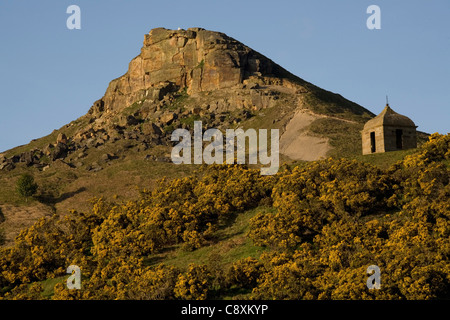 Roseberry Topping North Yorkshire Moors Inghilterra Foto Stock