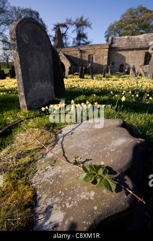 Lapide Caduti nel cimitero di Santa Maria Maddalena chiesa vicino al di sopra del villaggio Silton North Yorkshire, Inghilterra Foto Stock