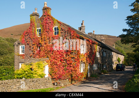 Agriturismo a Carrbrook, Stalybridge, Tameside, Greater Manchester, Inghilterra, Regno Unito. Coperto in Virginia superriduttore. Foto Stock