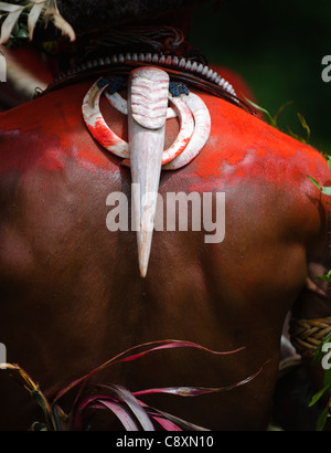 Huli Wigmen dal Tari Valley in Southern Highlands di Papua Nuova Guinea indossando una fattura da Blyth's Hornbill come decorazione Foto Stock