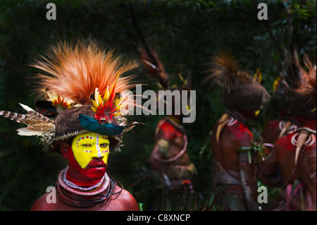 Huli Wigman adornata di uccello del paradiso abito di testa Tari Highlands di Papua Nuova Guinea Foto Stock