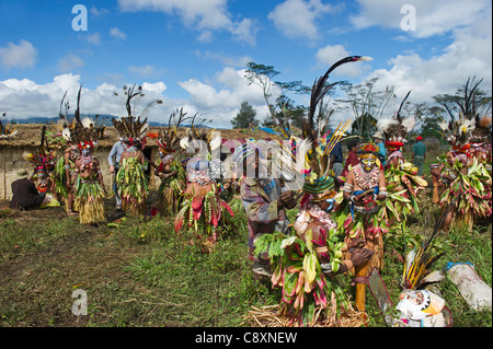 Gli artisti interpreti o esecutori tribali a Mt Hagen Visualizza in Papua Nuova Guinea indossando uccello del paradiso plumes in abiti di testa Foto Stock