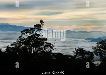 Vista dal Magic Mountain Lodge attraverso il cloud contemplati nella valle verso Mt Hagen nelle Highlands Occidentali Papua Nuova Guinea Foto Stock