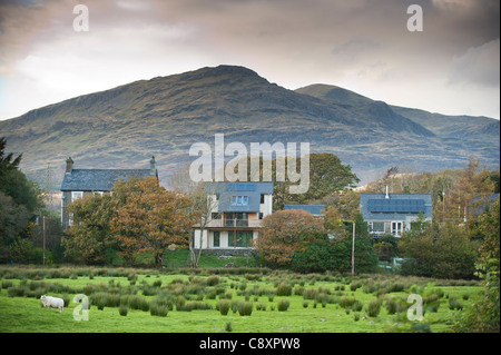 Moelwyn Bach e Moelwyn Mawr montagne dietro le case di villaggio Gellilydan, Gwynedd, Snowdonia, north Wales UK Foto Stock