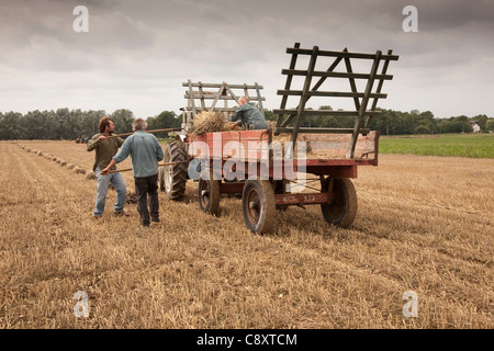 Antichi Metodi di coltivazione essendo dimostrata. Foto Stock