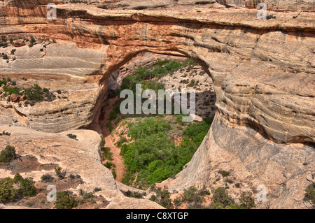 Sipapu Bridge a ponti naturali Nat. Monumento, Utah, Stati Uniti d'America Foto Stock