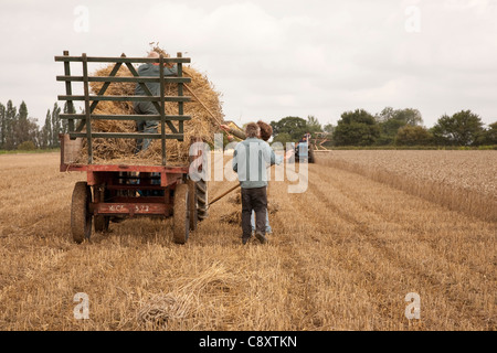 Antichi Metodi di coltivazione essendo dimostrata. Foto Stock