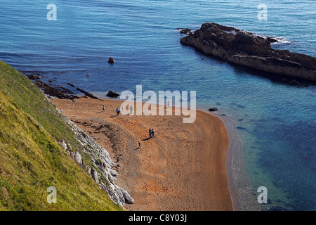 Guardando in giù in spiaggia in Man o guerra Bay sulla costa sud ovest percorso, Patrimonio Mondiale costa in Dorset England Regno Unito Foto Stock