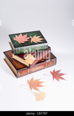 Pila di libri con caduta foglie Foto Stock