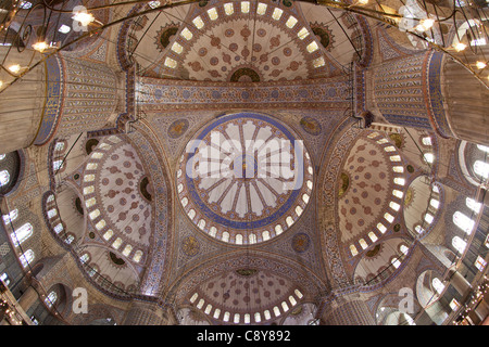 Interno della Moschea Blu, soffitto, Istanbul, Turchia Moschee Foto Stock