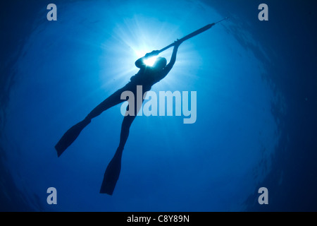 Una giovane donna la pesca subacquea sulla Grande Barriera Corallina Foto Stock