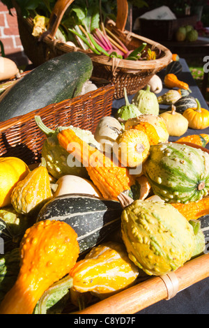 Zucche e produrre su un supporto ad una tradizionale giornata di Apple a Acorn Bank, Penrith, Cumbria, Regno Unito. Foto Stock