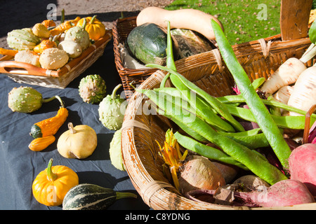 Zucche e produrre su un supporto ad una tradizionale giornata di Apple a Acorn Bank, Penrith, Cumbria, Regno Unito. Foto Stock