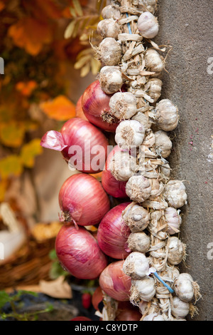 Cipolle e aglio in stringhe Foto Stock