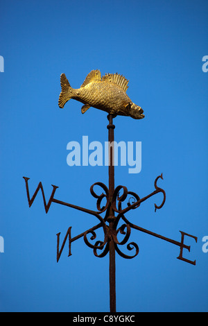 Il perno di Bradford e weathervane in cima il vecchio villaggio di lock up carcere o casa cieco sul ponte a Bradford on Avon Foto Stock