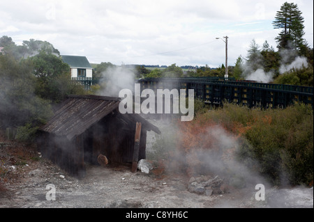 Aumento di vapore dalle sorgenti termali a Whakarewarewa thermal village, Isola del nord, Nuova Zelanda Foto Stock