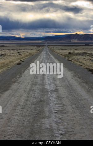 Vista sud ovest nel sole al tramonto lungo sette miglia di strada a Carrizo Plain nella California Meridionale. Foto Stock