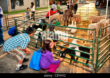 Zoo delle carezze al Merrick Street Fair al crepuscolo con capre, anatre, pecore, fieno, intersezione all Merrick, New York, 23 ottobre 2011. Foto Stock