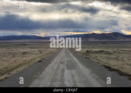 Vista sud ovest nel sole al tramonto lungo sette miglia di strada a Carrizo Plain nella California Meridionale. Foto Stock