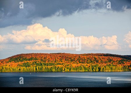 Foresta di colori d'autunno alberi con lago e cielo drammatico Foto Stock