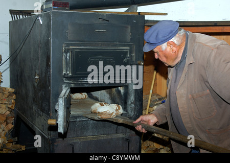 Baker tenendo fuori appena sfornato Valaisian pane di segale dal forno di cottura del forno del paese in Erschmatt, Vallese, Svizzera Foto Stock