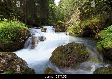 Piccola con flusso di acqua fresca in Val di Fassa, Italia Foto Stock