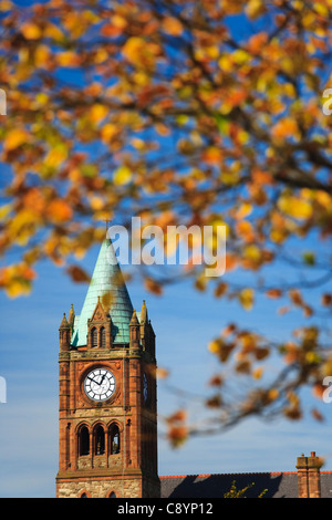 Londonderry guildhall incorniciato da foglie di autunno, nella contea di Londonderry, Irlanda del Nord Foto Stock