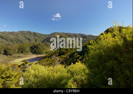 Anchor Bay fauna al Parco Nazionale Abel Tasman, Isola del Sud, Nuova Zelanda Foto Stock