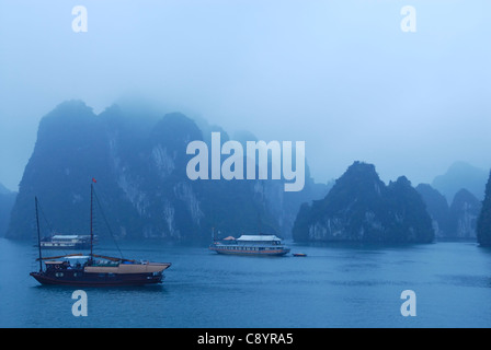 Asia, Vietnam, Halong Bay. Gita in barca sulla baia di Halong. La mattina presto dopo una sosta di una notte. Designato dall'UNESCO Heri... Foto Stock