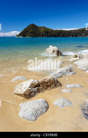 Vista del litorale e Adele isola dalla spiaggia, il Parco Nazionale Abel Tasman, Isola del Sud, Nuova Zelanda Foto Stock