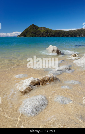 Vista del litorale e Adele isola dalla spiaggia, il Parco Nazionale Abel Tasman, Isola del Sud, Nuova Zelanda Foto Stock