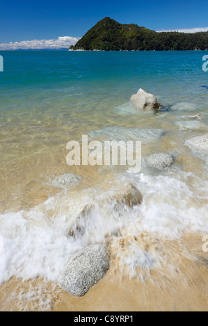 Vista del litorale e Adele isola dalla spiaggia, il Parco Nazionale Abel Tasman, Isola del Sud, Nuova Zelanda Foto Stock